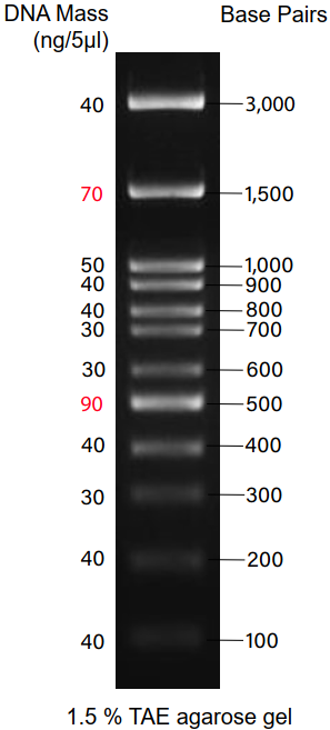 Bio Helix