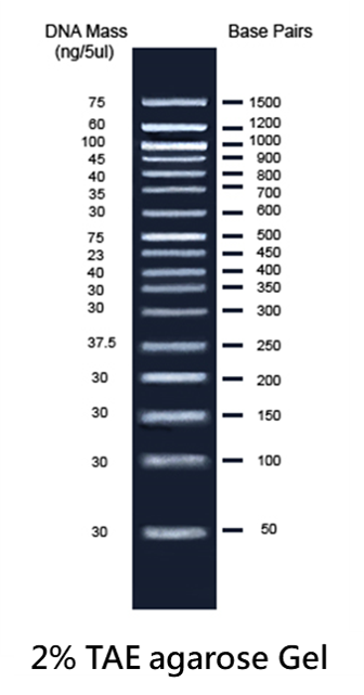 Bio-Helix