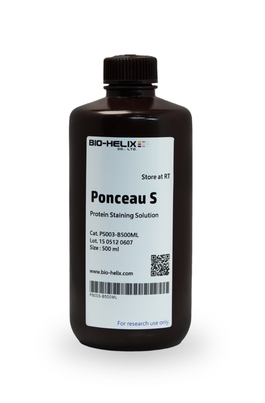 Ponceau S Protein Staining Solution 