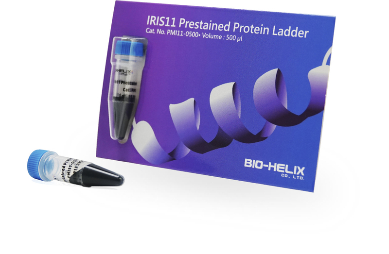 IRIS11 Prestained Protein Ladder 