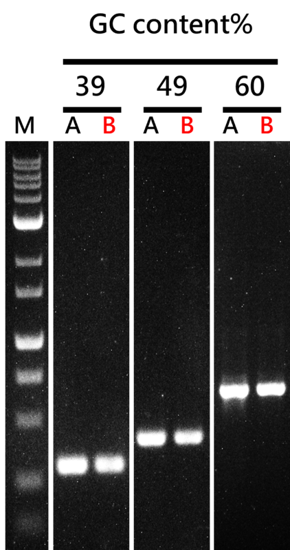 Efficient amplification of DNA sequences with a range of GC content.